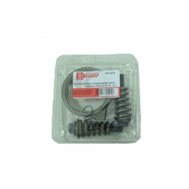 Ремкомплект каталізатора (графітове кільце) ВАЗ 2110-12 (набір 34)